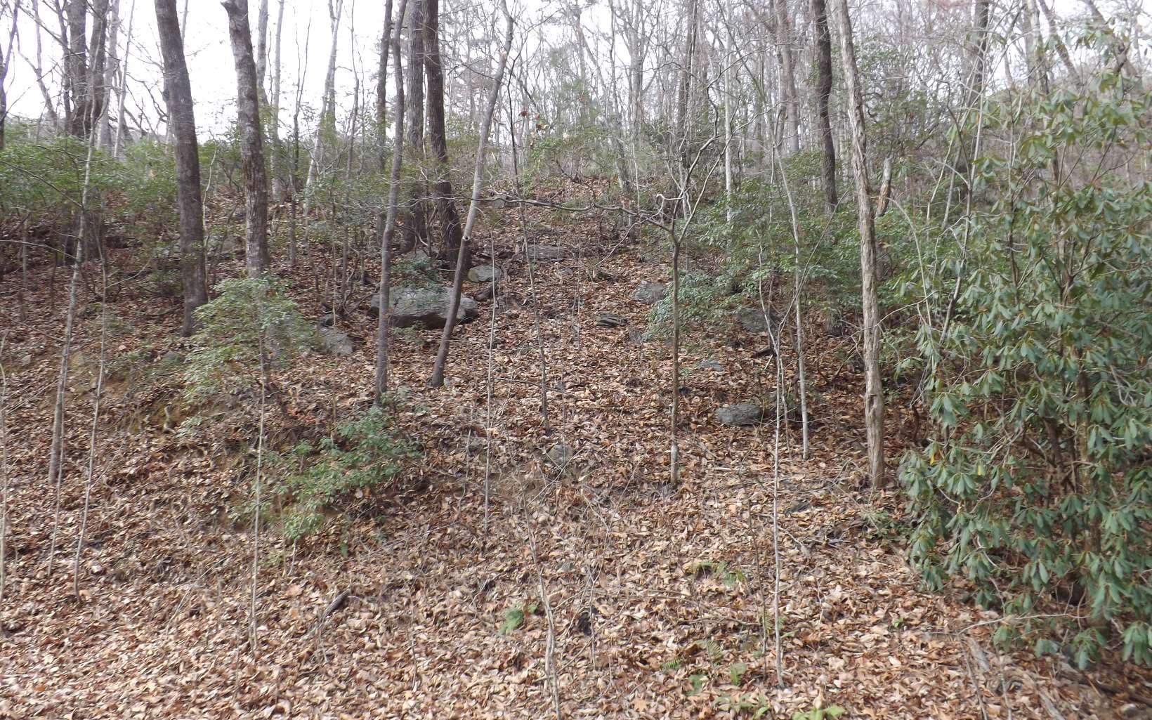 Eastview Eastview Lane- Lot M, Clayton GA 30525 - Photo