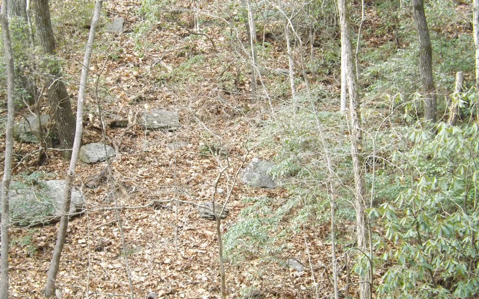 Eastview Eastview Lane- Lot M, Clayton GA 30525 - Photo