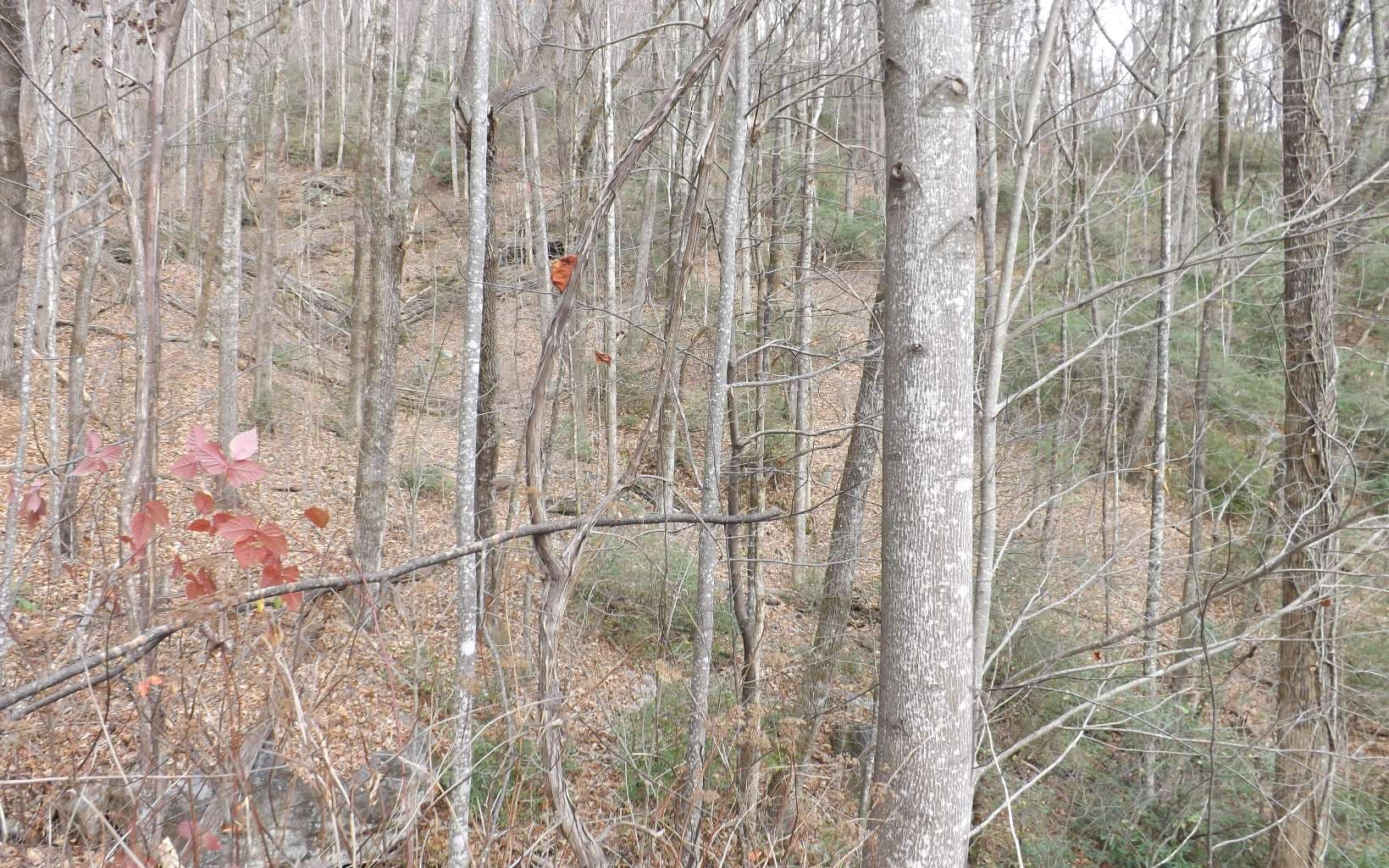 Eastview Eastview Lane- Lot M, Clayton GA 30525 - Photo