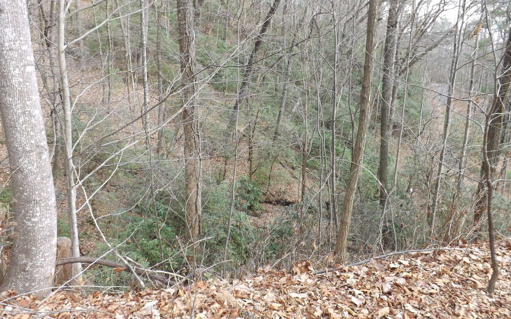 Eastview Eastview Lane- Lot M, Clayton GA 30525 - Photo
