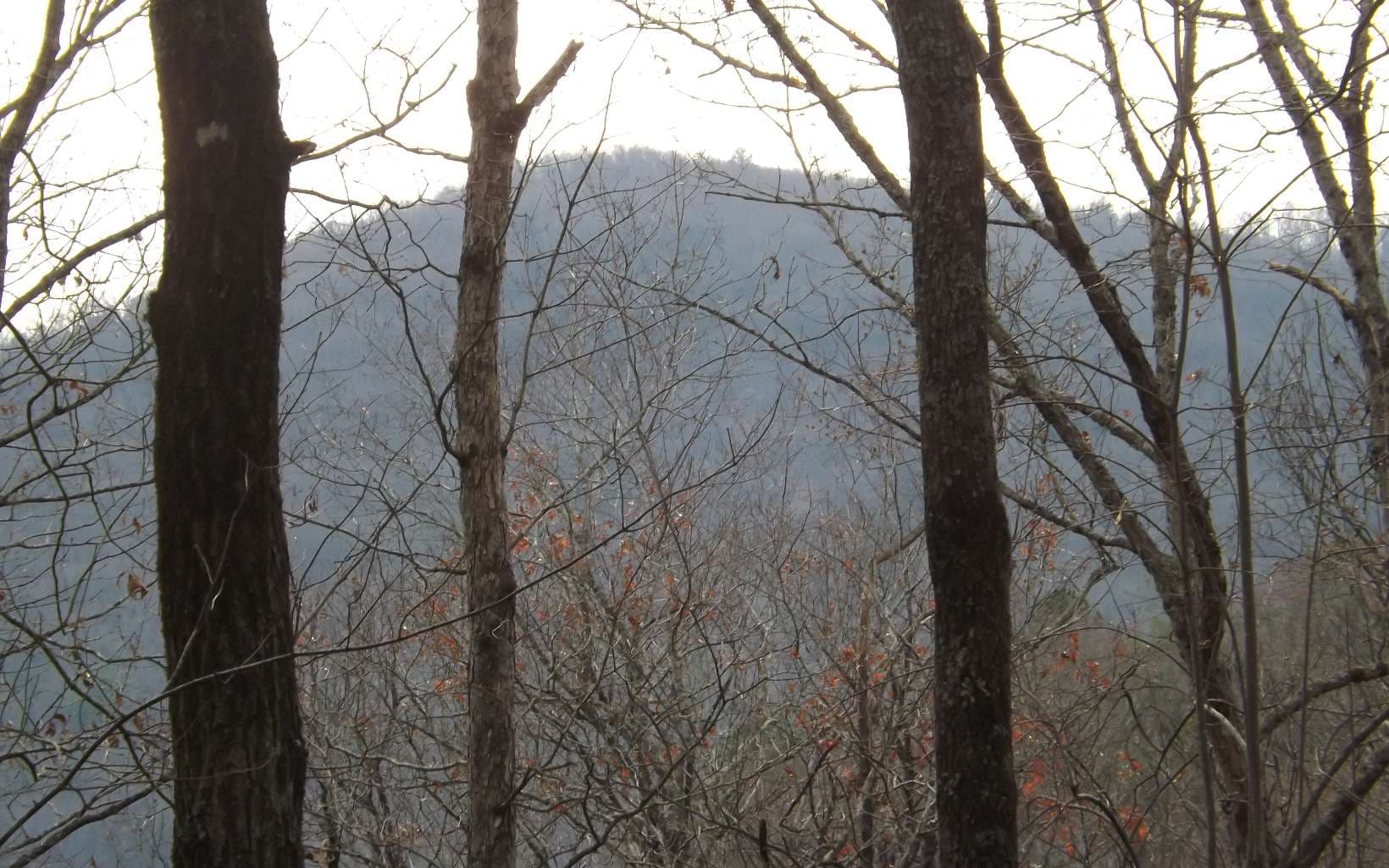 Eastview Eastview Lane- Lot M, Clayton GA 30525 - Photo