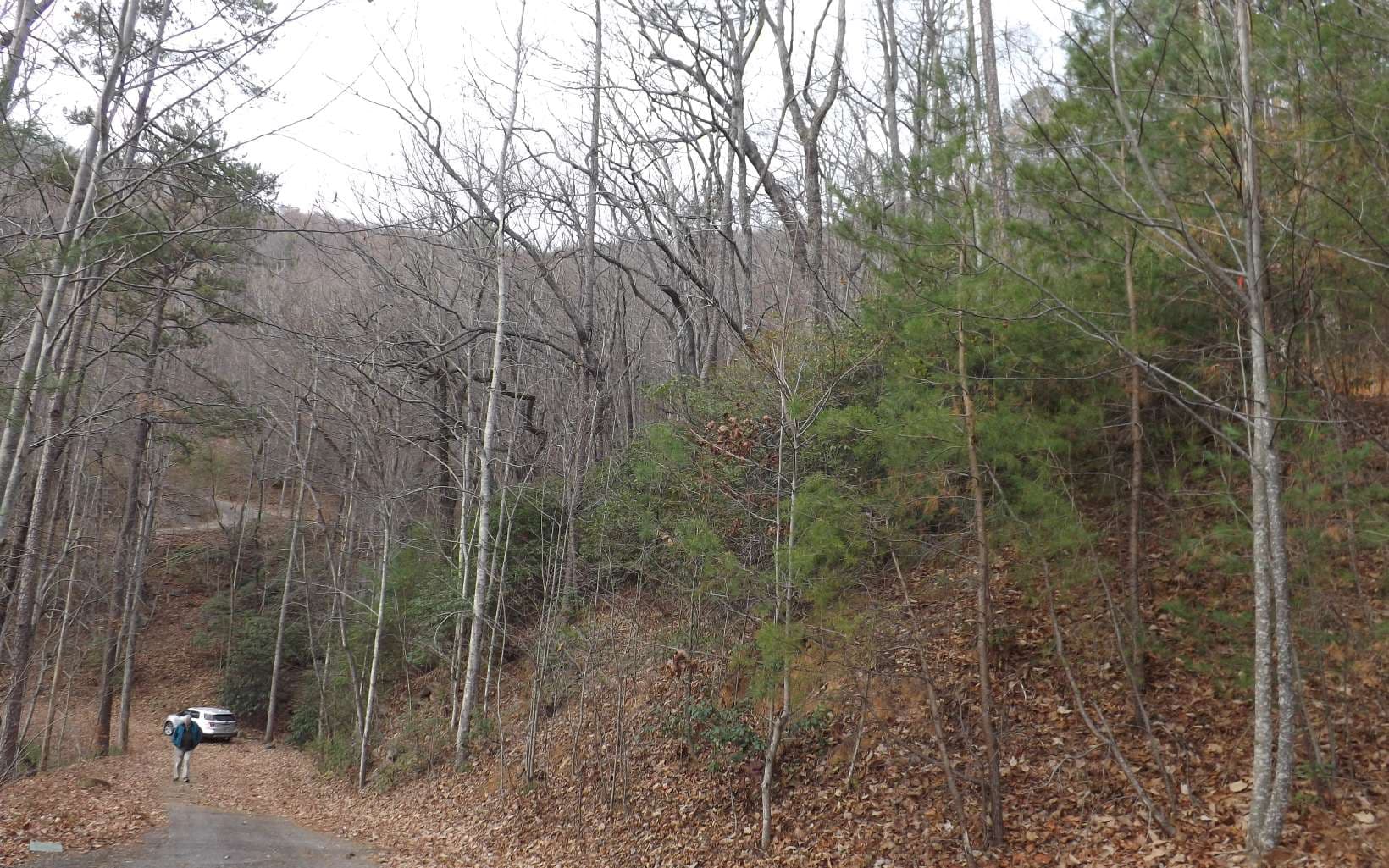 Eastview Eastview Lane- Lot M, Clayton GA 30525 - Photo