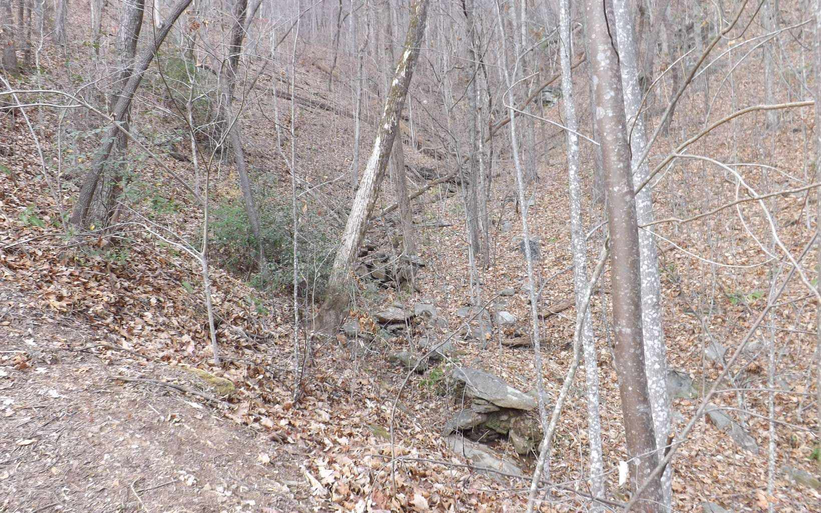 Eastview Eastview Lane- Lot M, Clayton GA 30525 - Photo