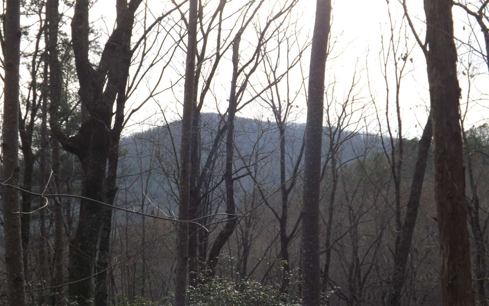 Eastview Eastview Lane- Lot M, Clayton GA 30525 - Photo