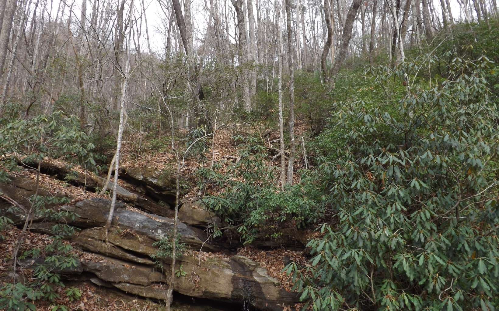 Eastview Eastview Lane- Lot M, Clayton GA 30525 - Photo