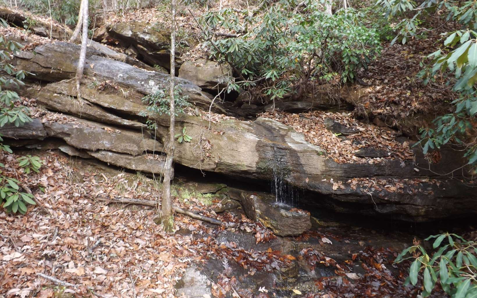 Eastview Eastview Lane- Lot M, Clayton GA 30525 - Photo