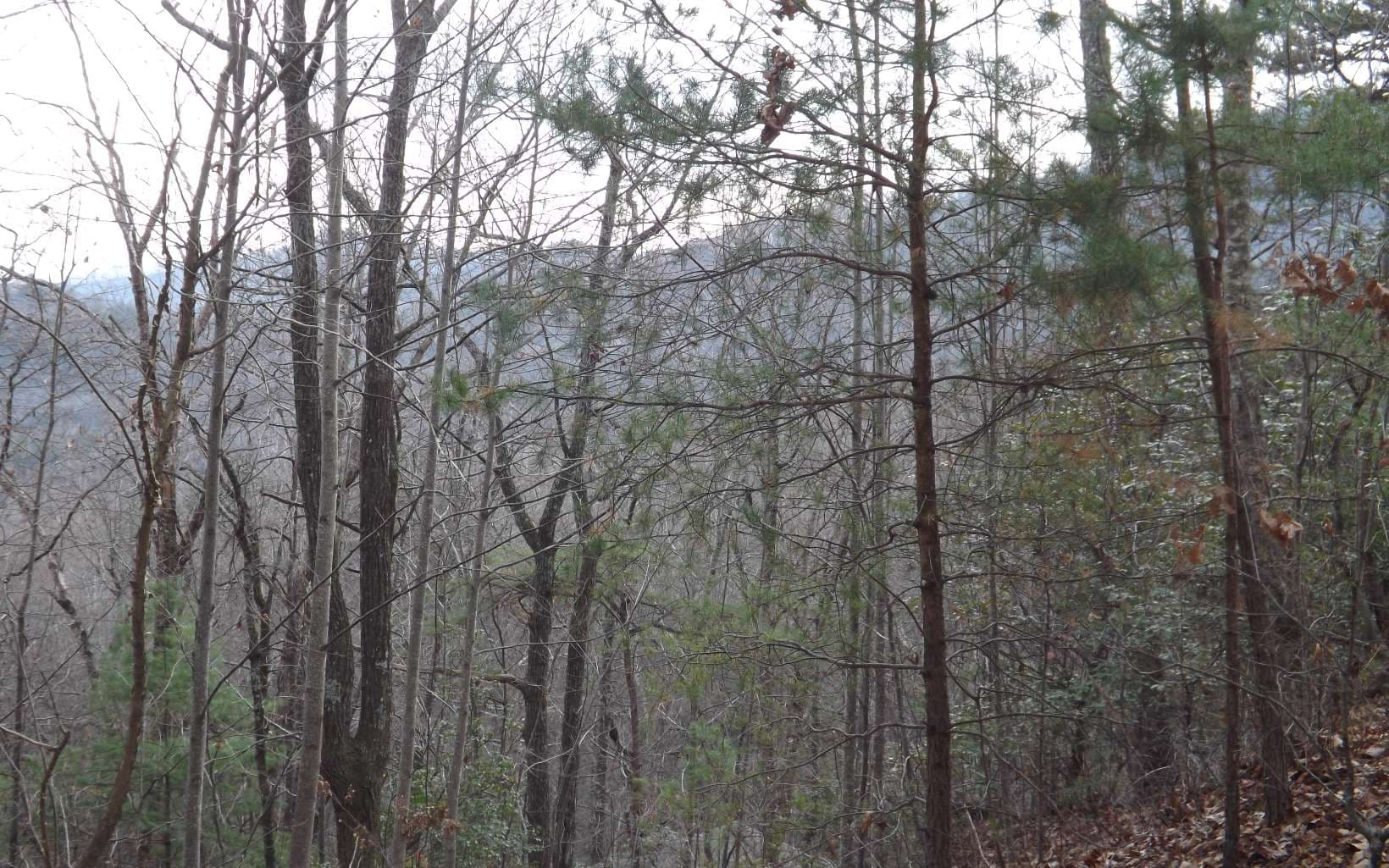Eastview Eastview Lane- Lot M, Clayton GA 30525 - Photo