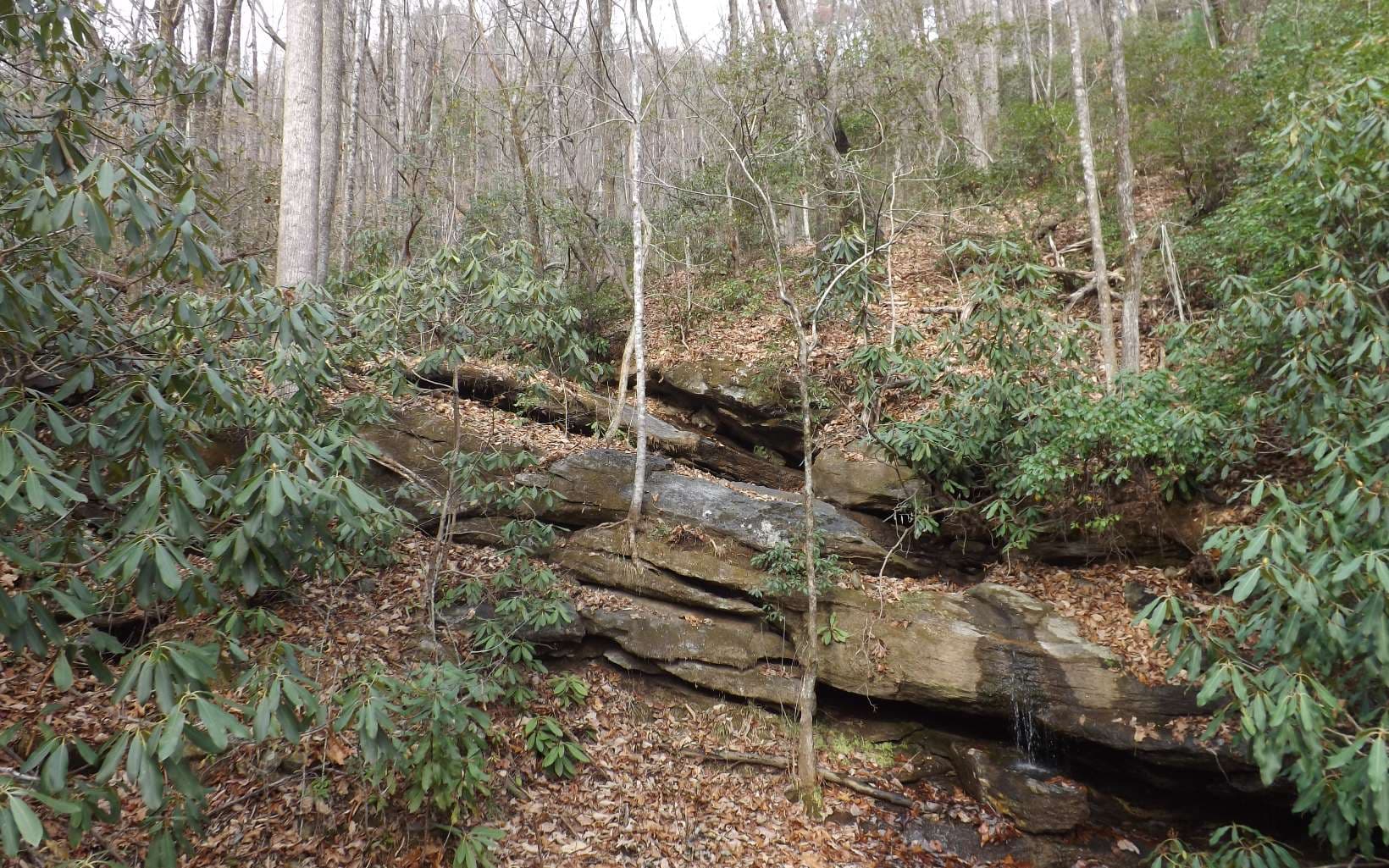 Eastview Eastview Lane- Lot M, Clayton GA 30525 - Photo