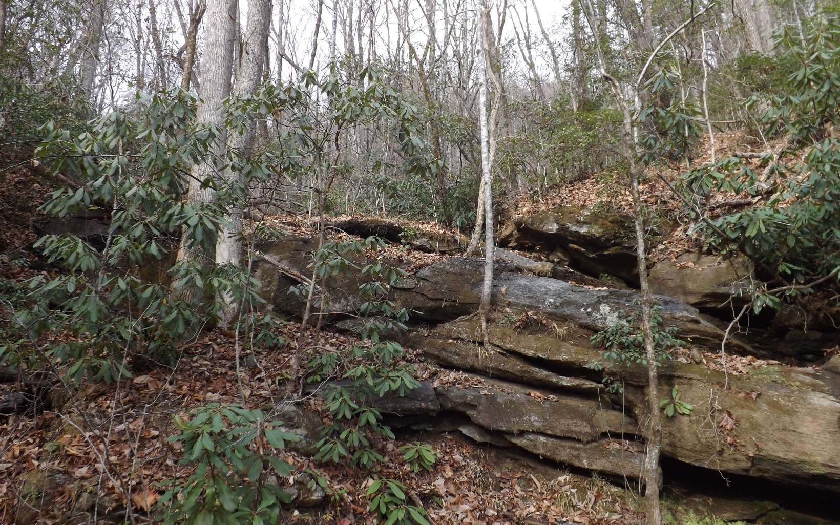 Eastview Eastview Lane- Lot M, Clayton GA 30525 - Photo