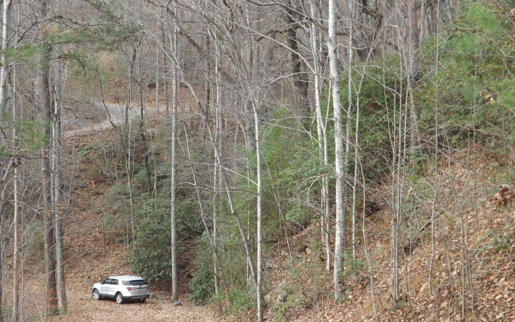Eastview Eastview Lane- Lot M, Clayton GA 30525 - Photo