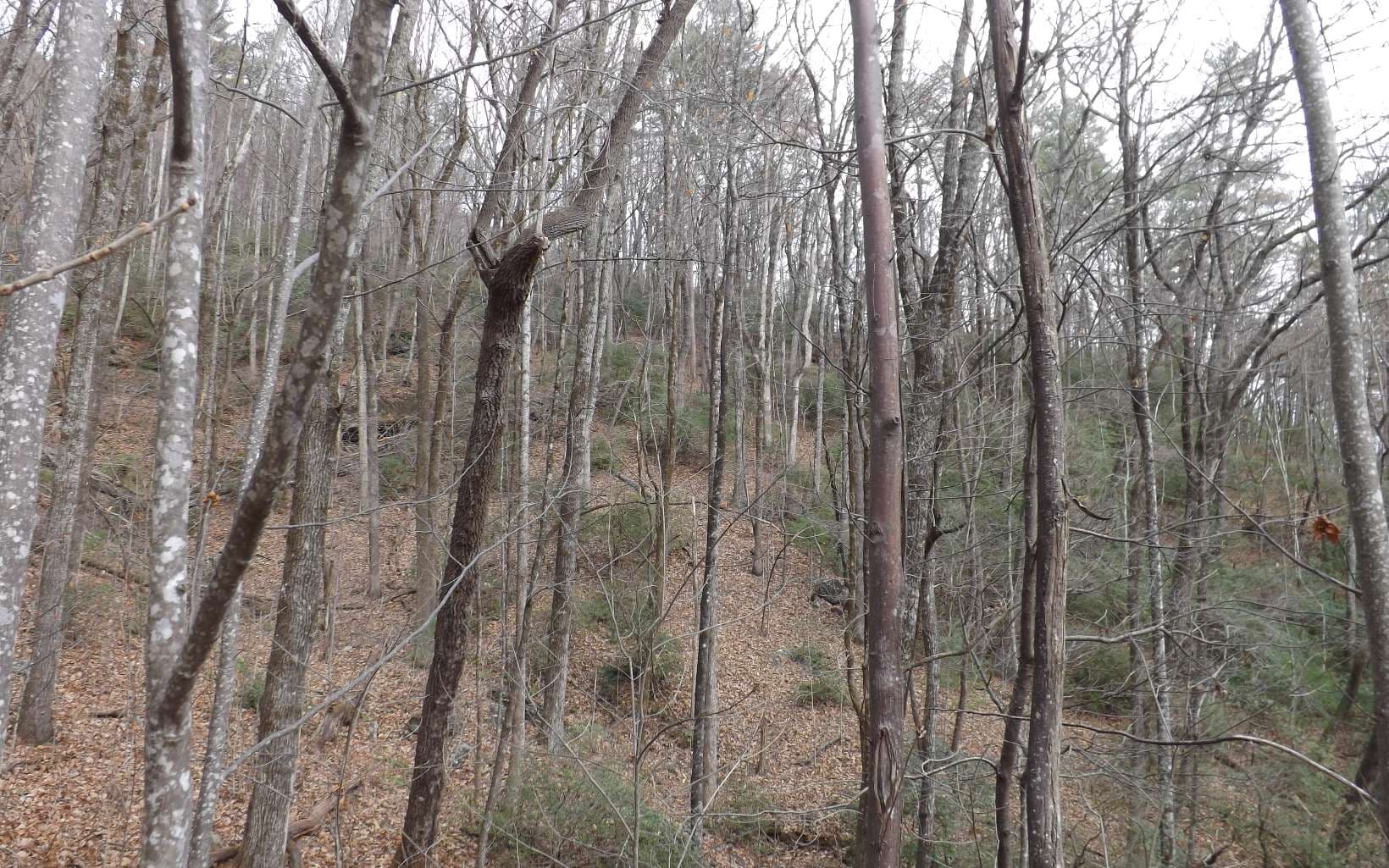Eastview Eastview Lane- Lot M, Clayton GA 30525 - Photo
