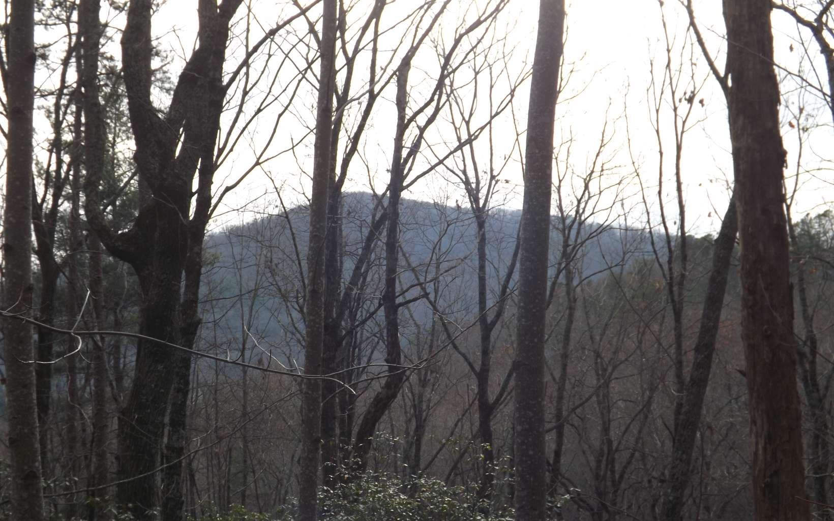 Eastview Eastview Lane- Lot M, Clayton GA 30525 - Photo