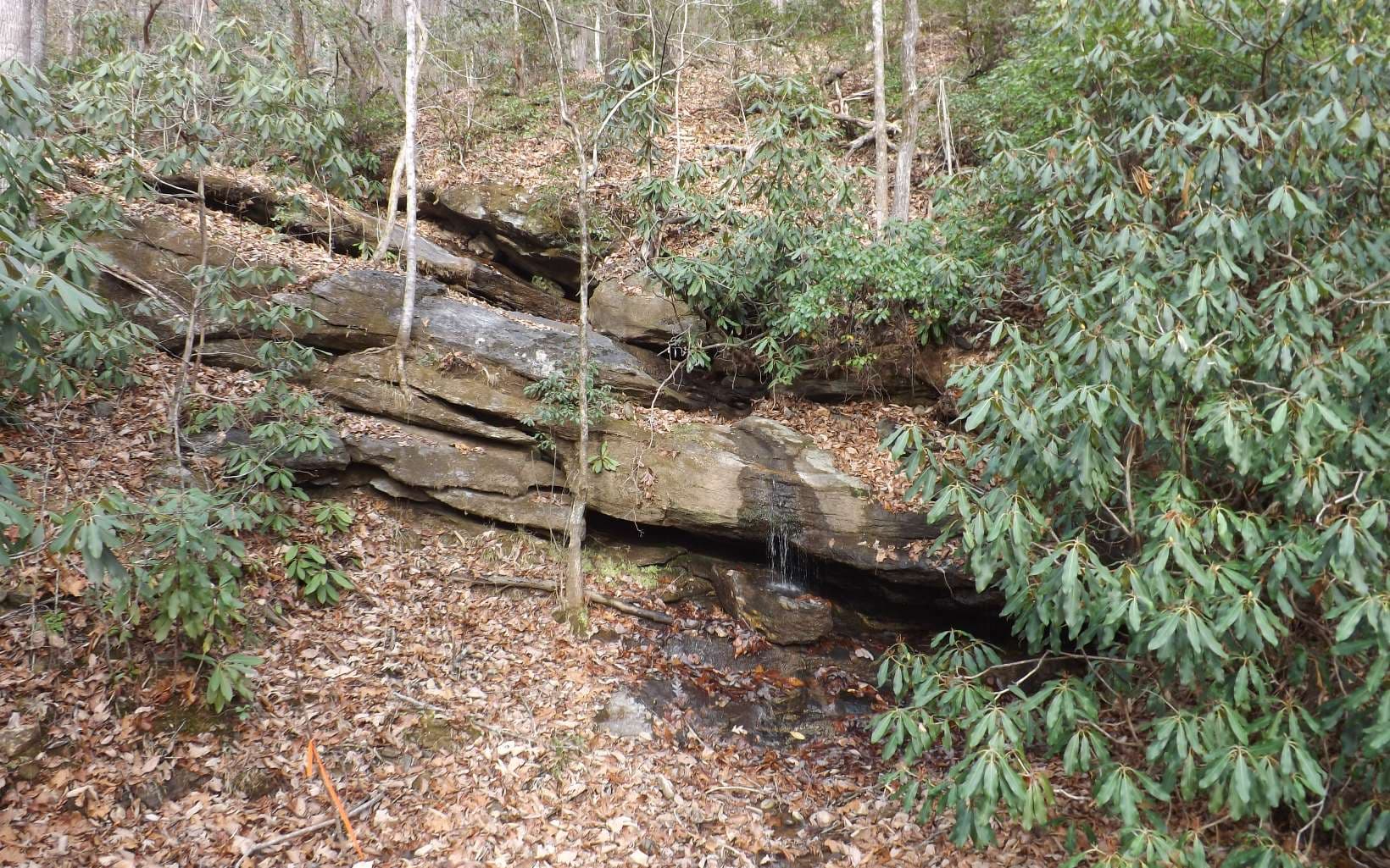 Eastview Eastview Lane- Lot M, Clayton GA 30525 - Photo