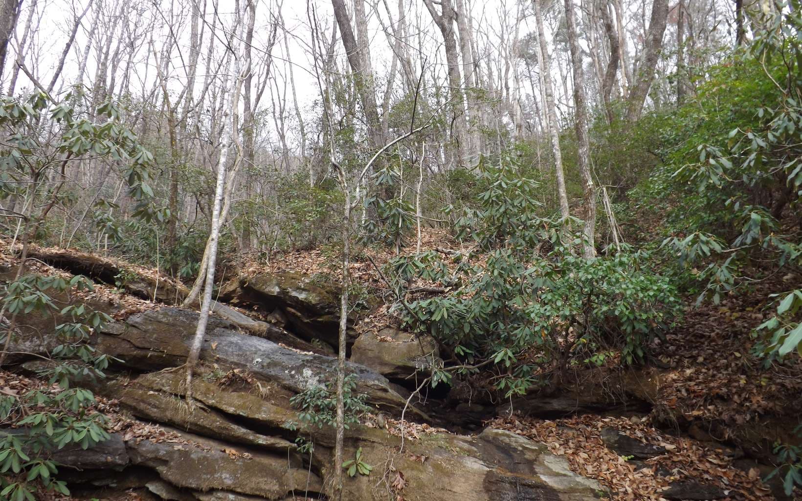 Eastview Eastview Lane- Lot M, Clayton GA 30525 - Photo