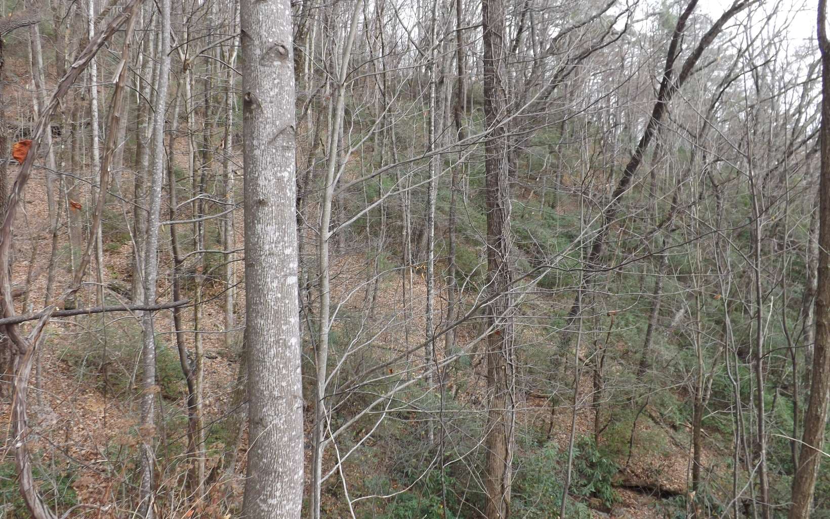 Eastview Eastview Lane- Lot M, Clayton GA 30525 - Photo