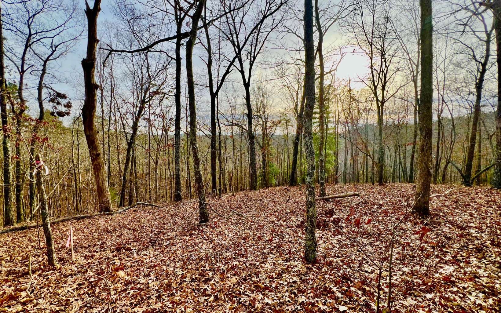 LT209 Harris Ridge Drive, Ellijay GA 30540 - Photo