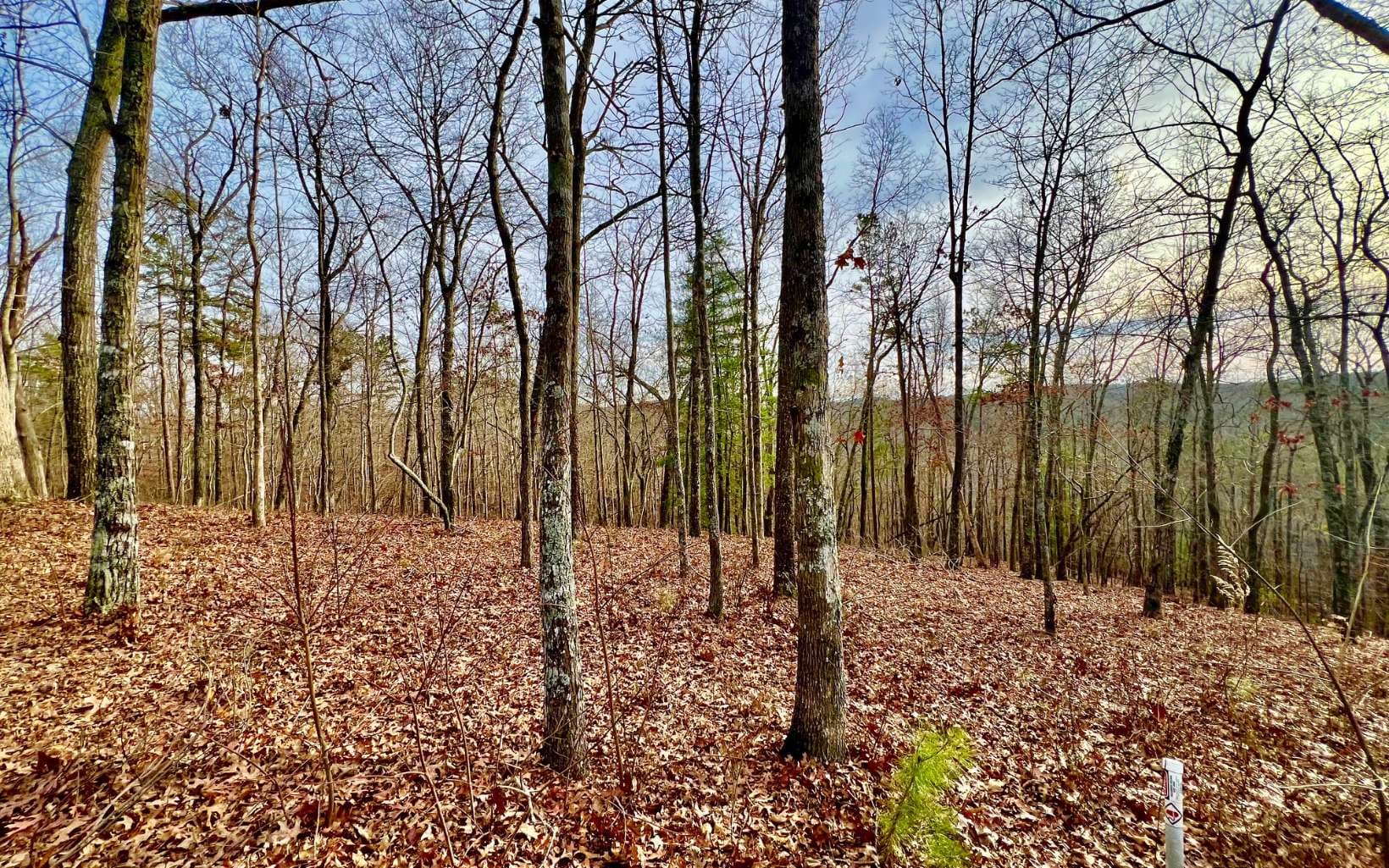 LT209 Harris Ridge Drive, Ellijay GA 30540 - Photo