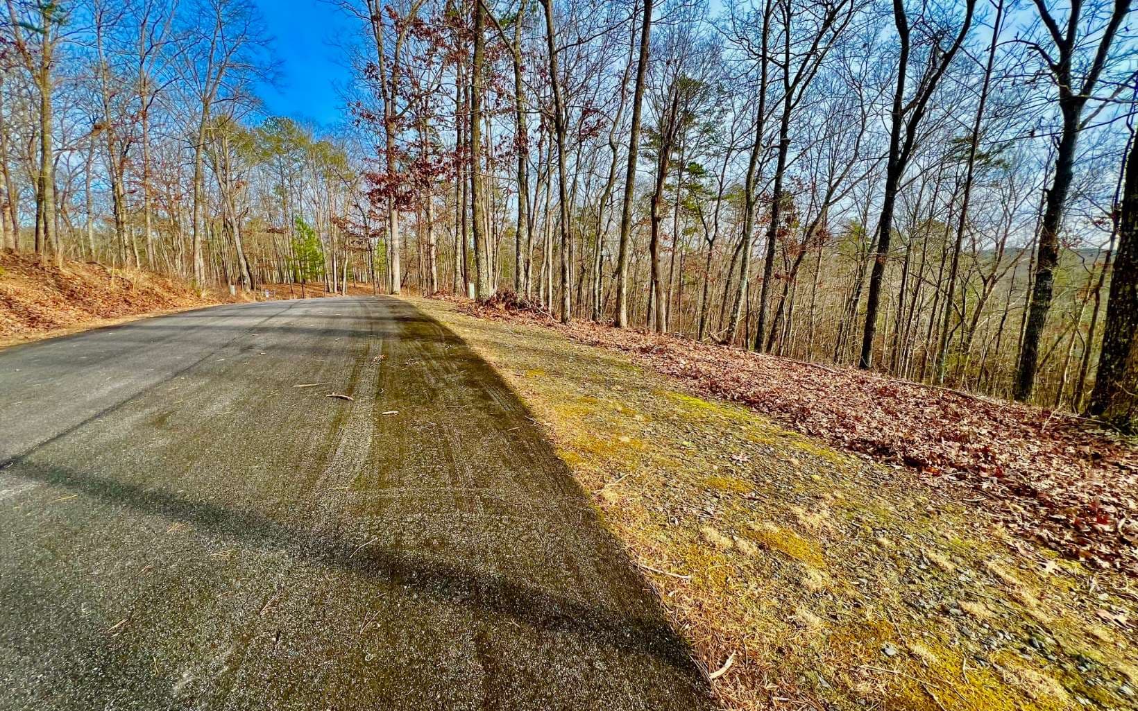 LT209 Harris Ridge Drive, Ellijay GA 30540 - Photo