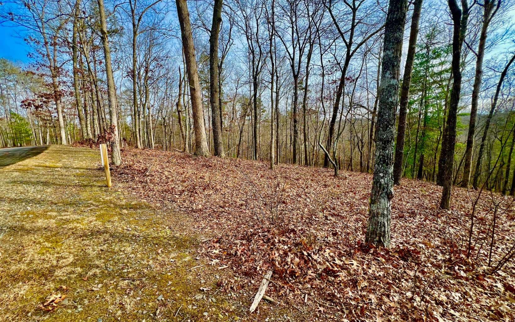 LT209 Harris Ridge Drive, Ellijay GA 30540 - Photo