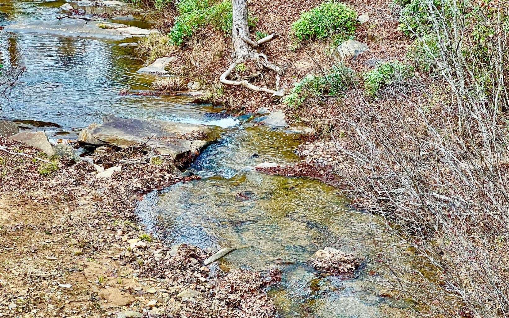 LT209 Harris Ridge Drive, Ellijay GA 30540 - Photo