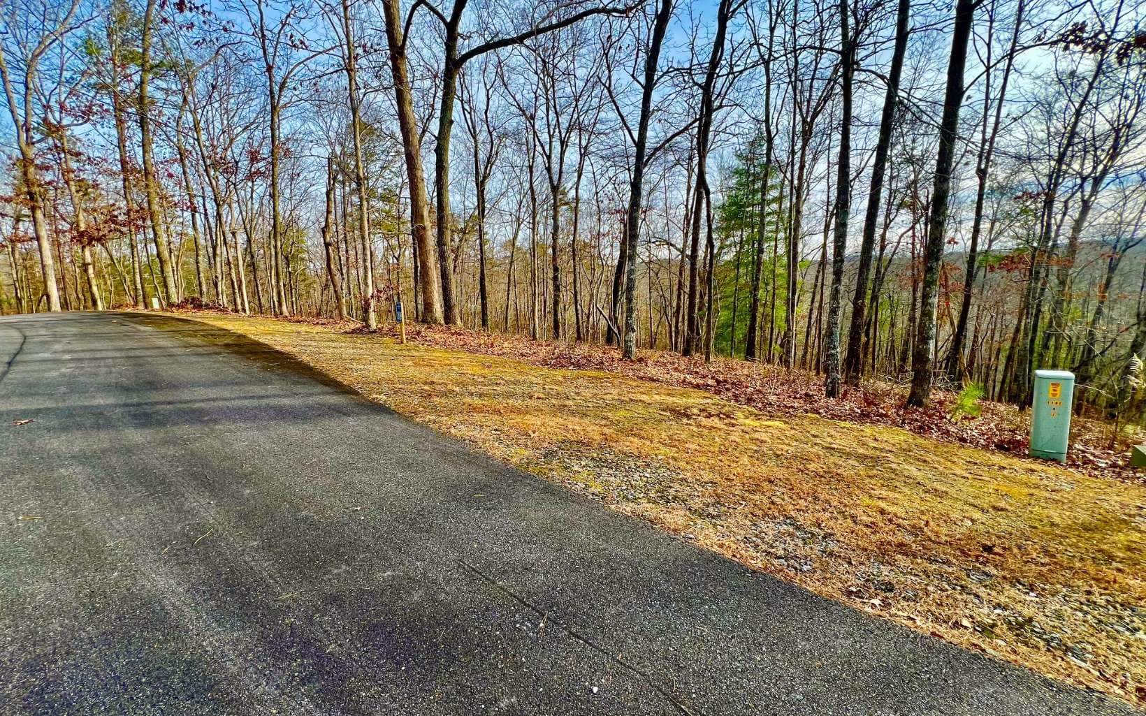 LT209 Harris Ridge Drive, Ellijay GA 30540 - Photo
