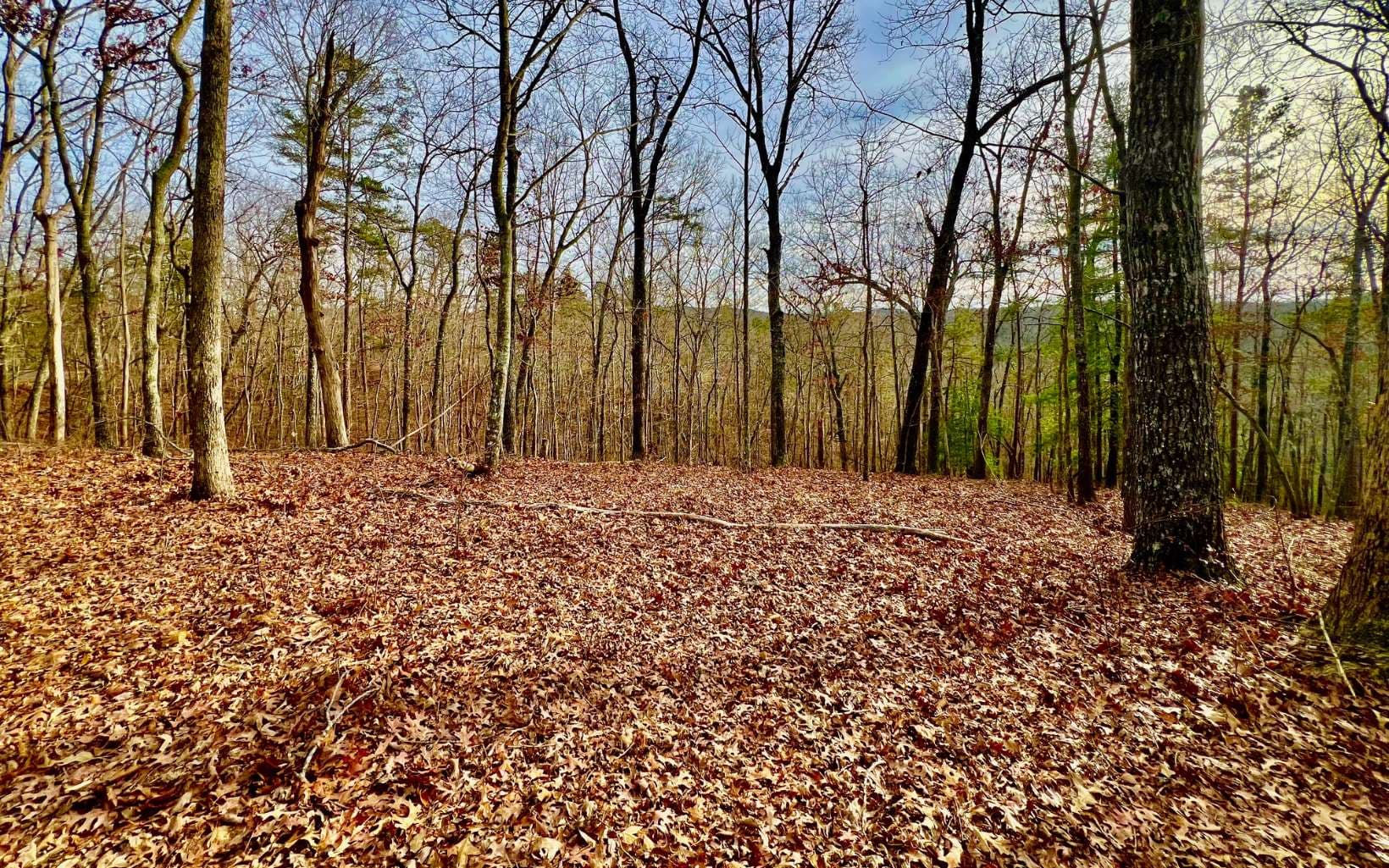 LT209 Harris Ridge Drive, Ellijay GA 30540 - Photo