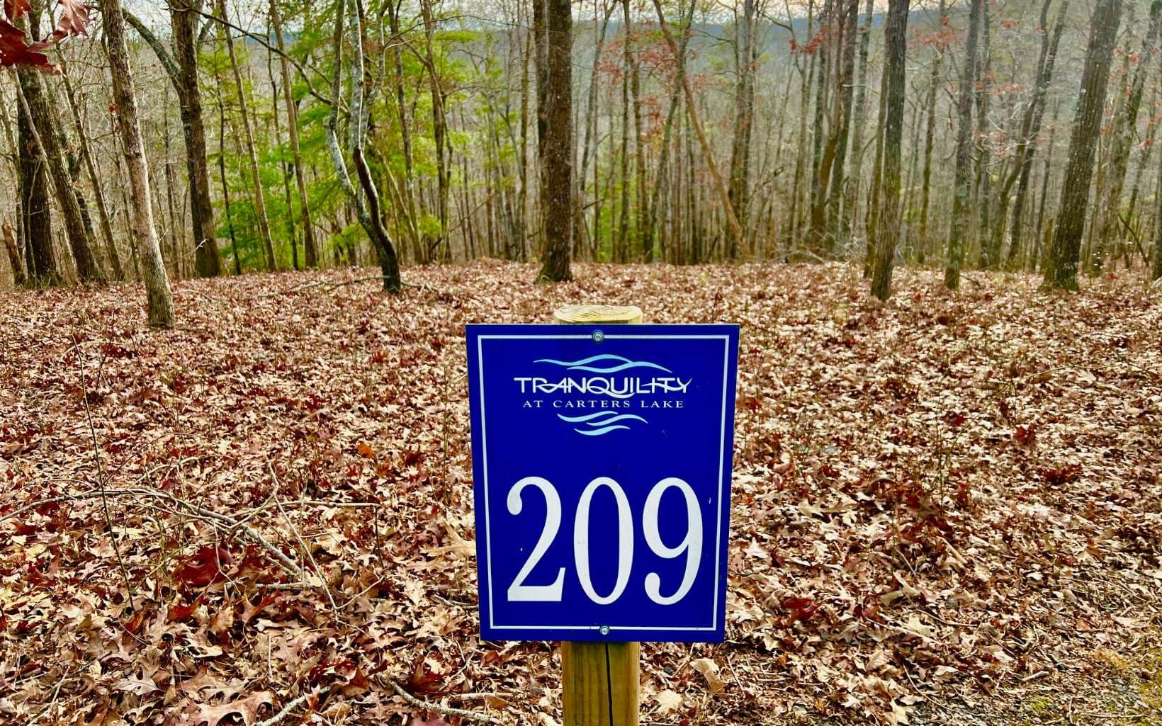 LT209 Harris Ridge Drive, Ellijay GA 30540 - Photo