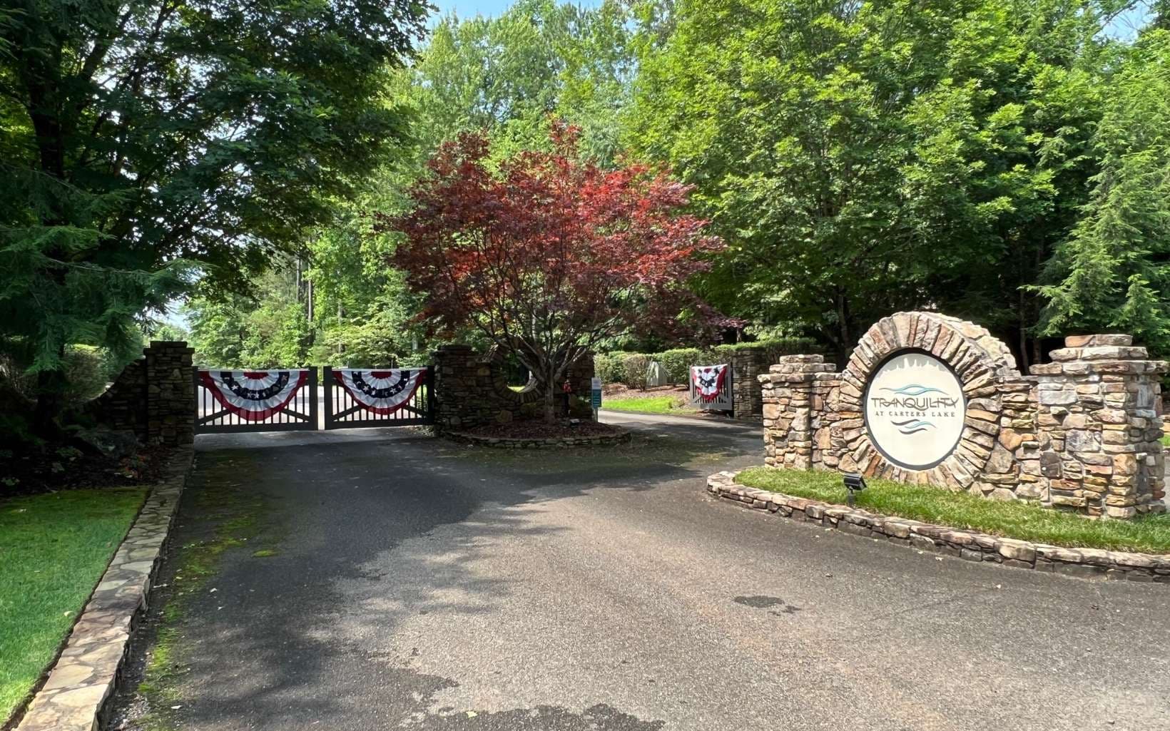 LT209 Harris Ridge Drive, Ellijay GA 30540 - Photo