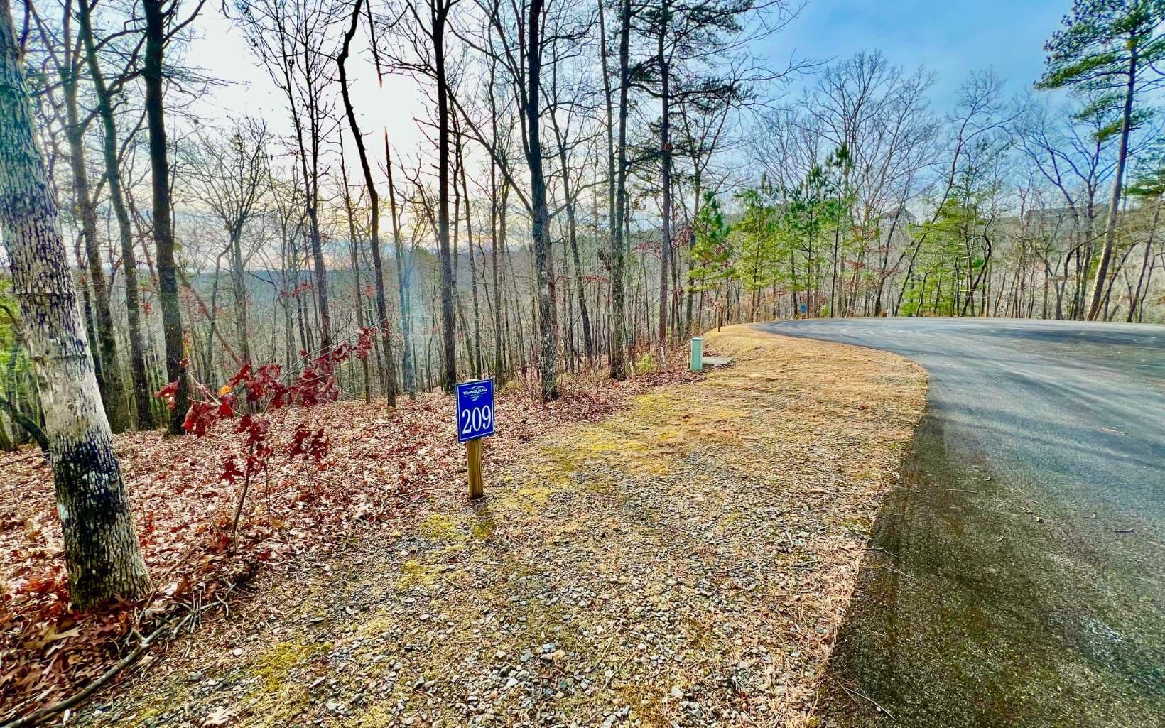 LT209 Harris Ridge Drive, Ellijay GA 30540 - Photo