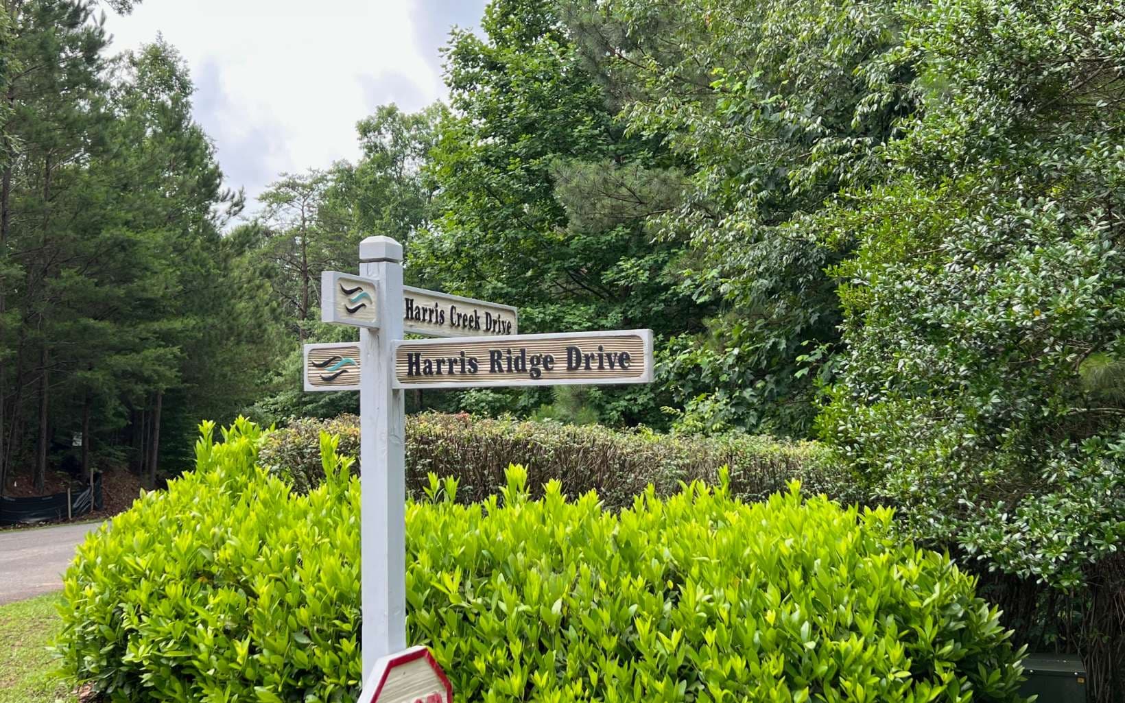 LT209 Harris Ridge Drive, Ellijay GA 30540 - Photo
