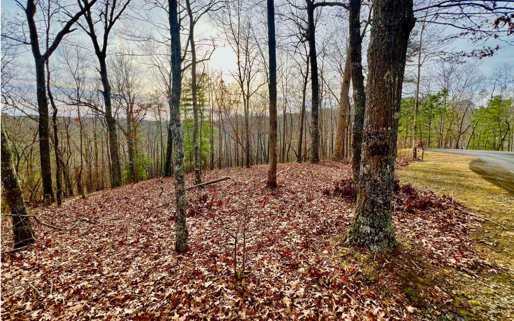 LT209 Harris Ridge Drive, Ellijay GA 30540 - Photo
