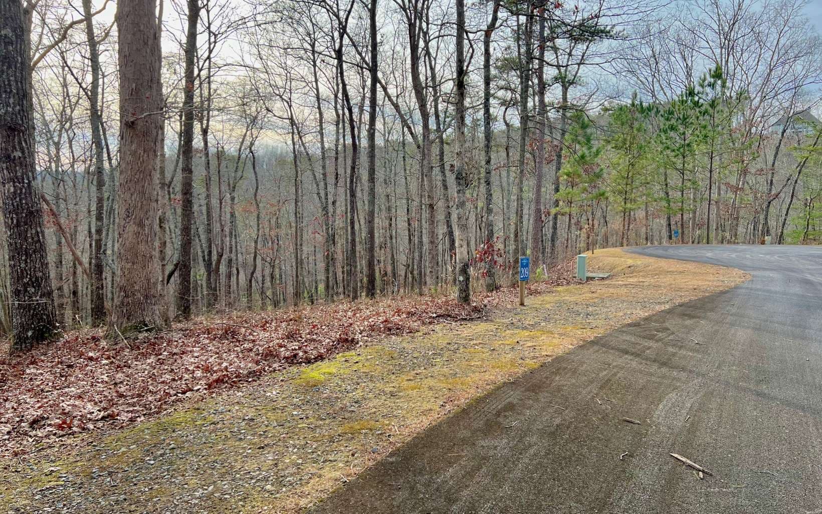 LT209 Harris Ridge Drive, Ellijay GA 30540 - Photo