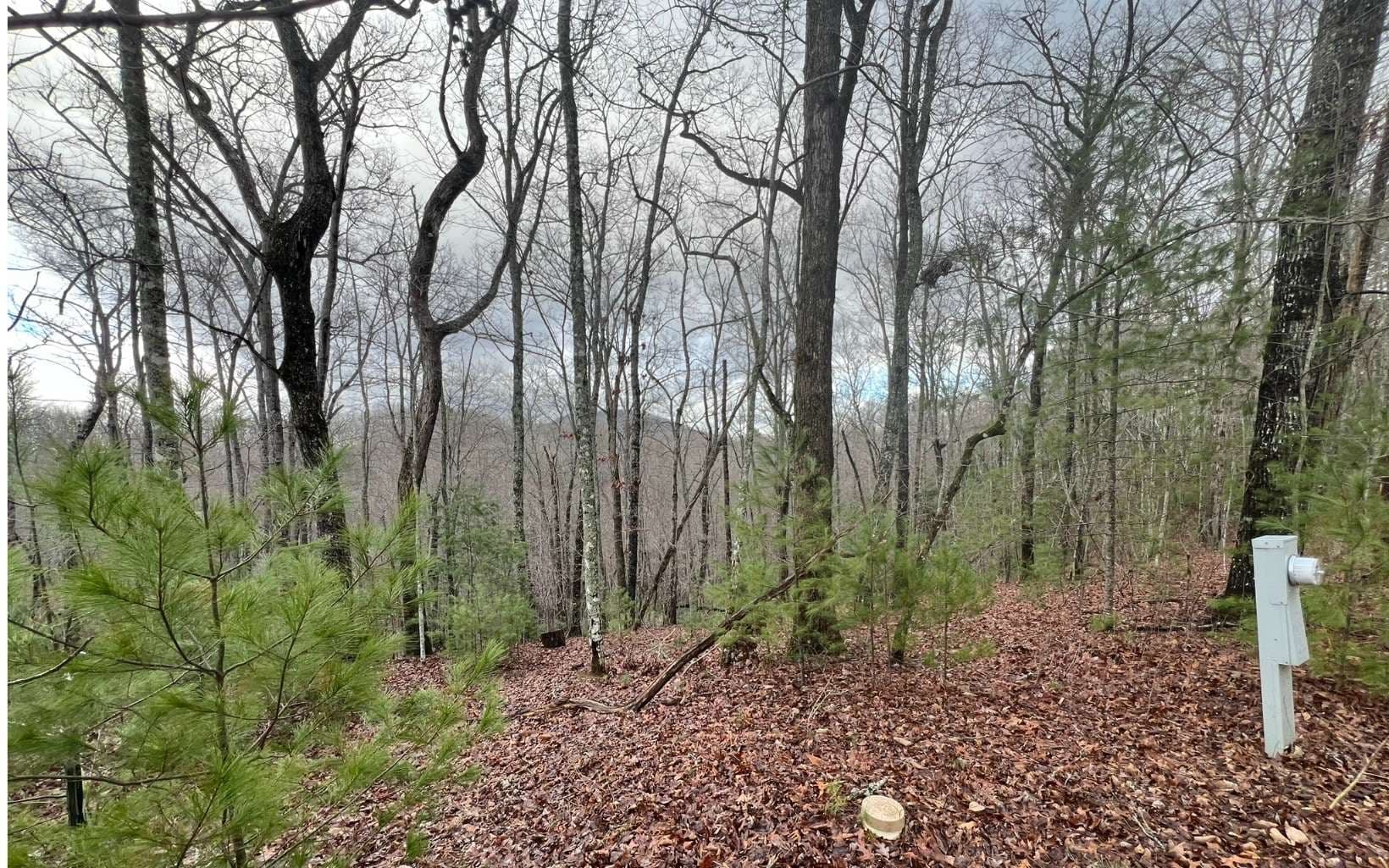 000 Cross Creek, Andrews NC 28901 - Photo