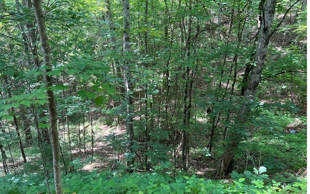 000 Cross Creek, Andrews NC 28901 - Photo