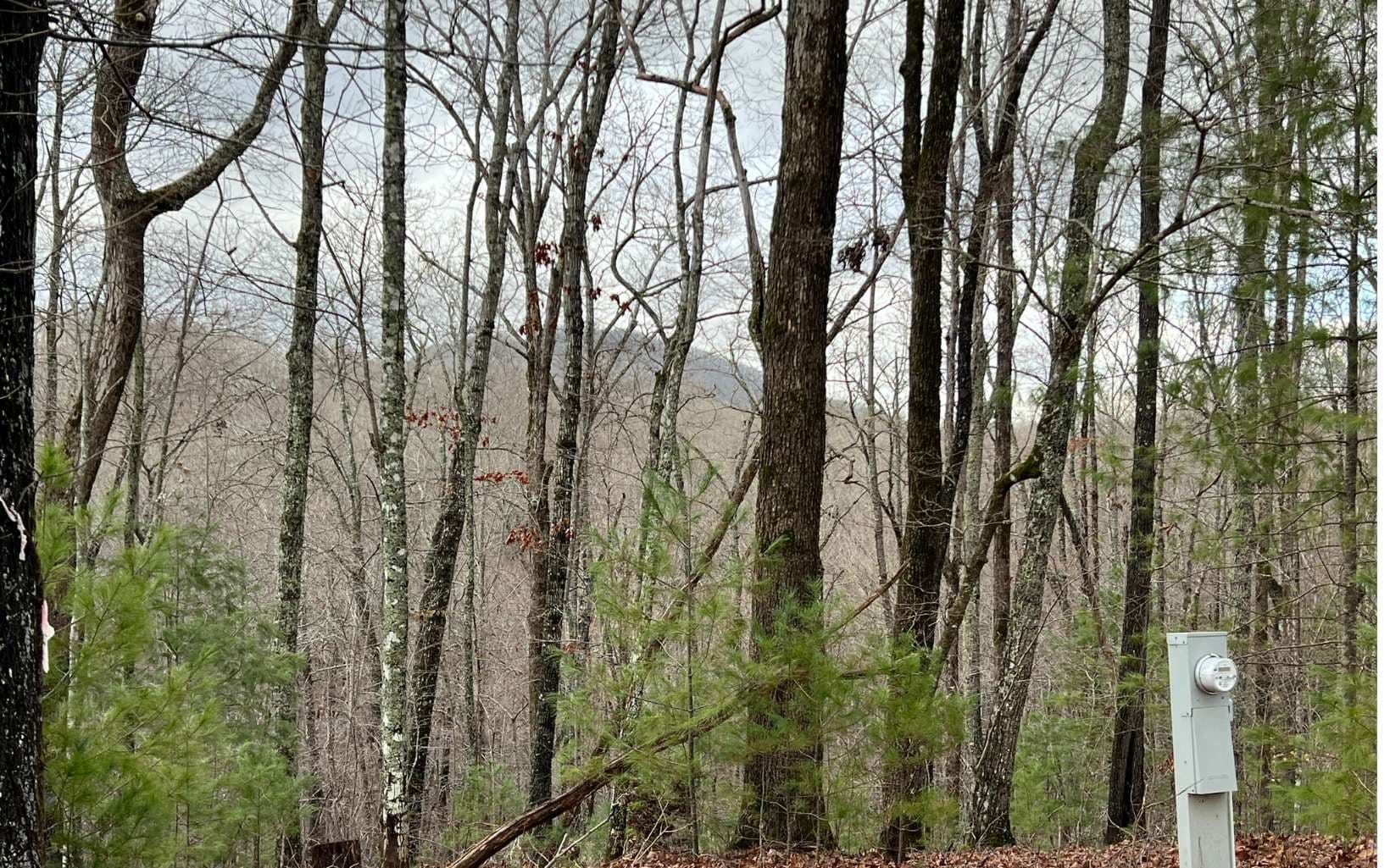 000 Cross Creek, Andrews NC 28901 - Photo