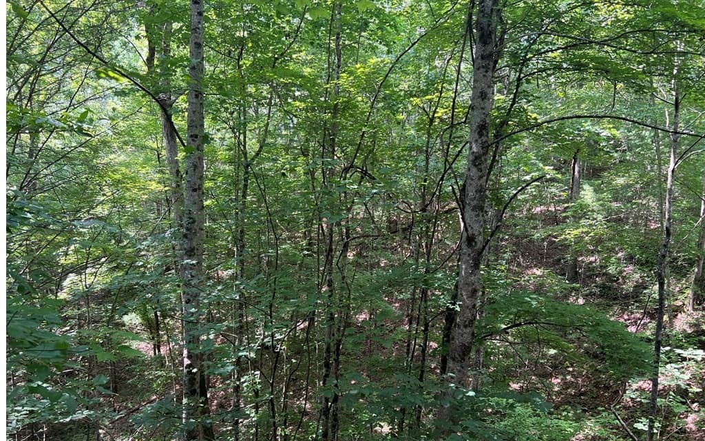 000 Cross Creek, Andrews NC 28901 - Photo