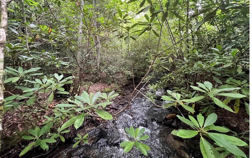 000 Cross Creek, Andrews NC 28901 - Photo