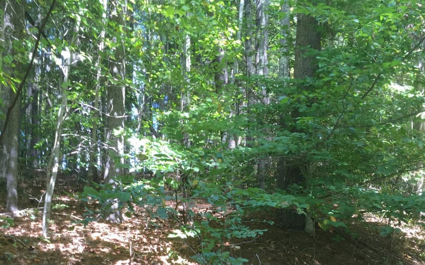 LOT 1 Red Oak Ridge, Hayesville NC 28904 - Photo