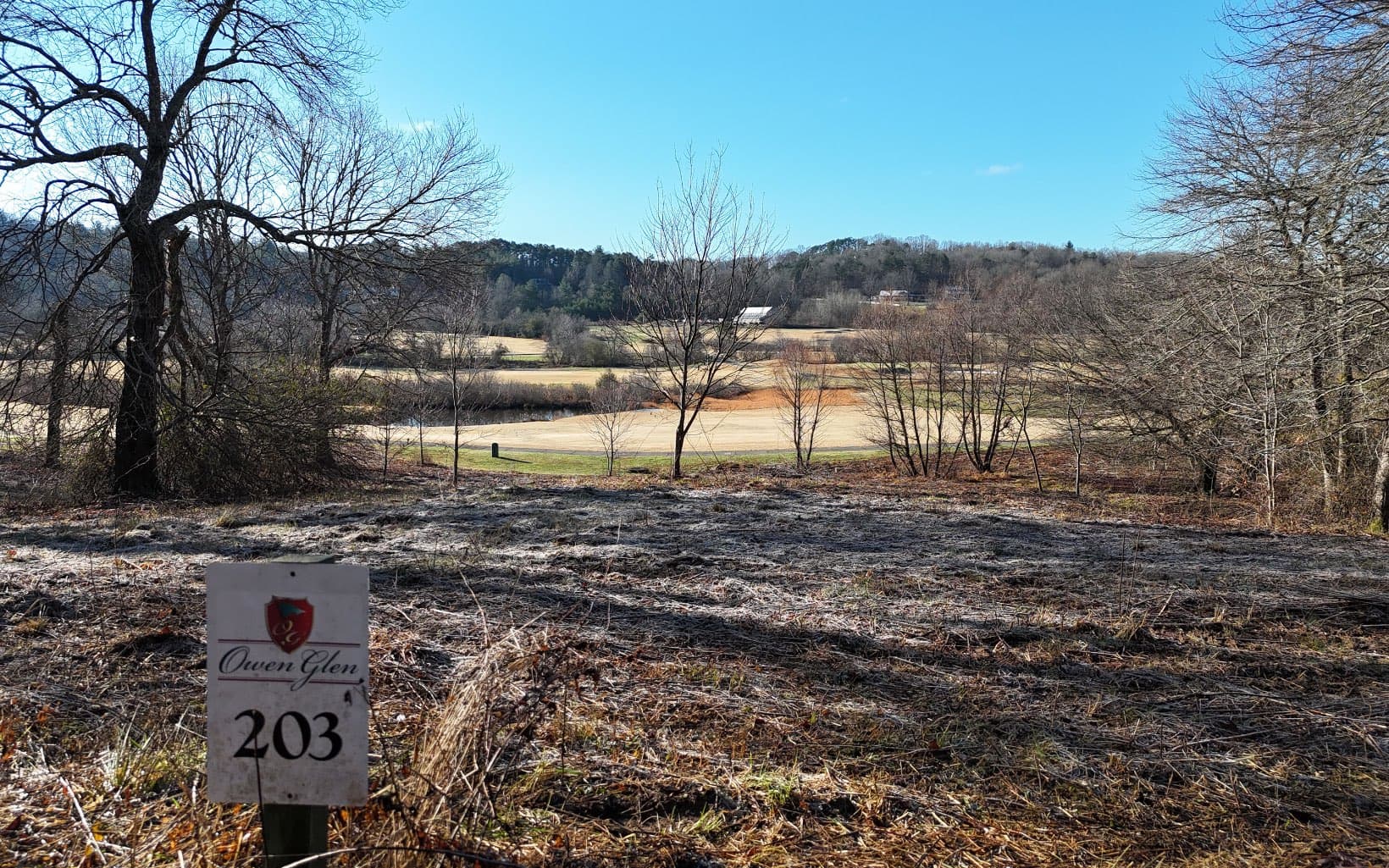 203 Owen Glen, Blairsville GA 30512 - Photo