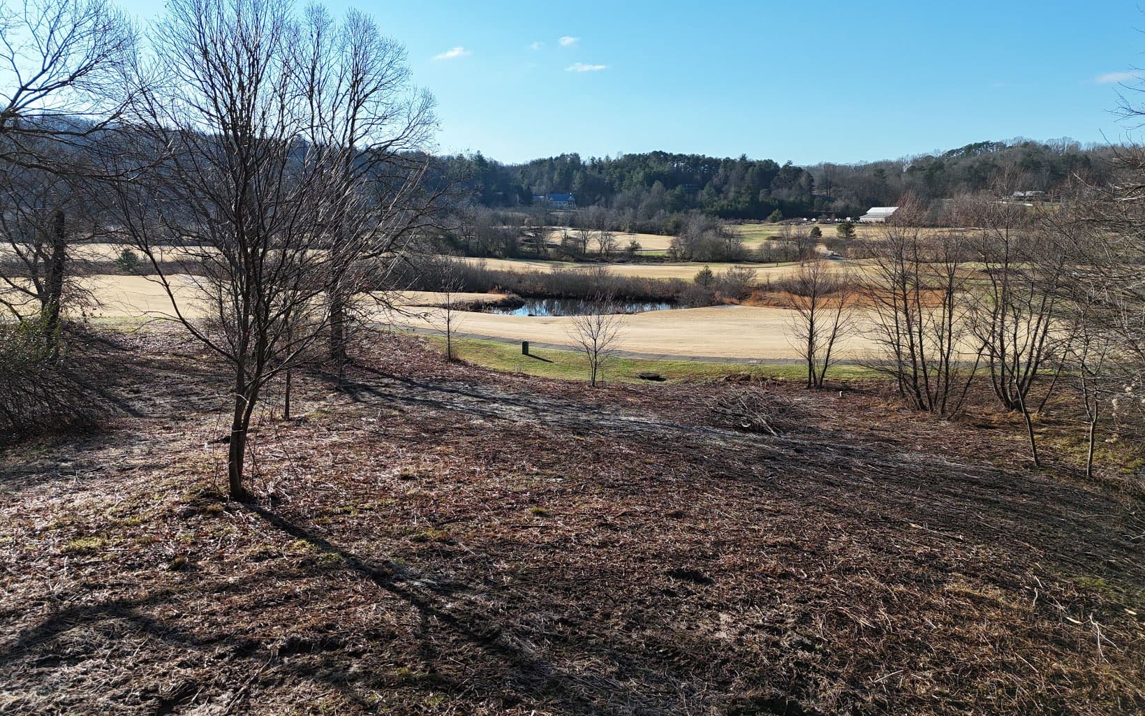 203 Owen Glen, Blairsville GA 30512 - Primary photo