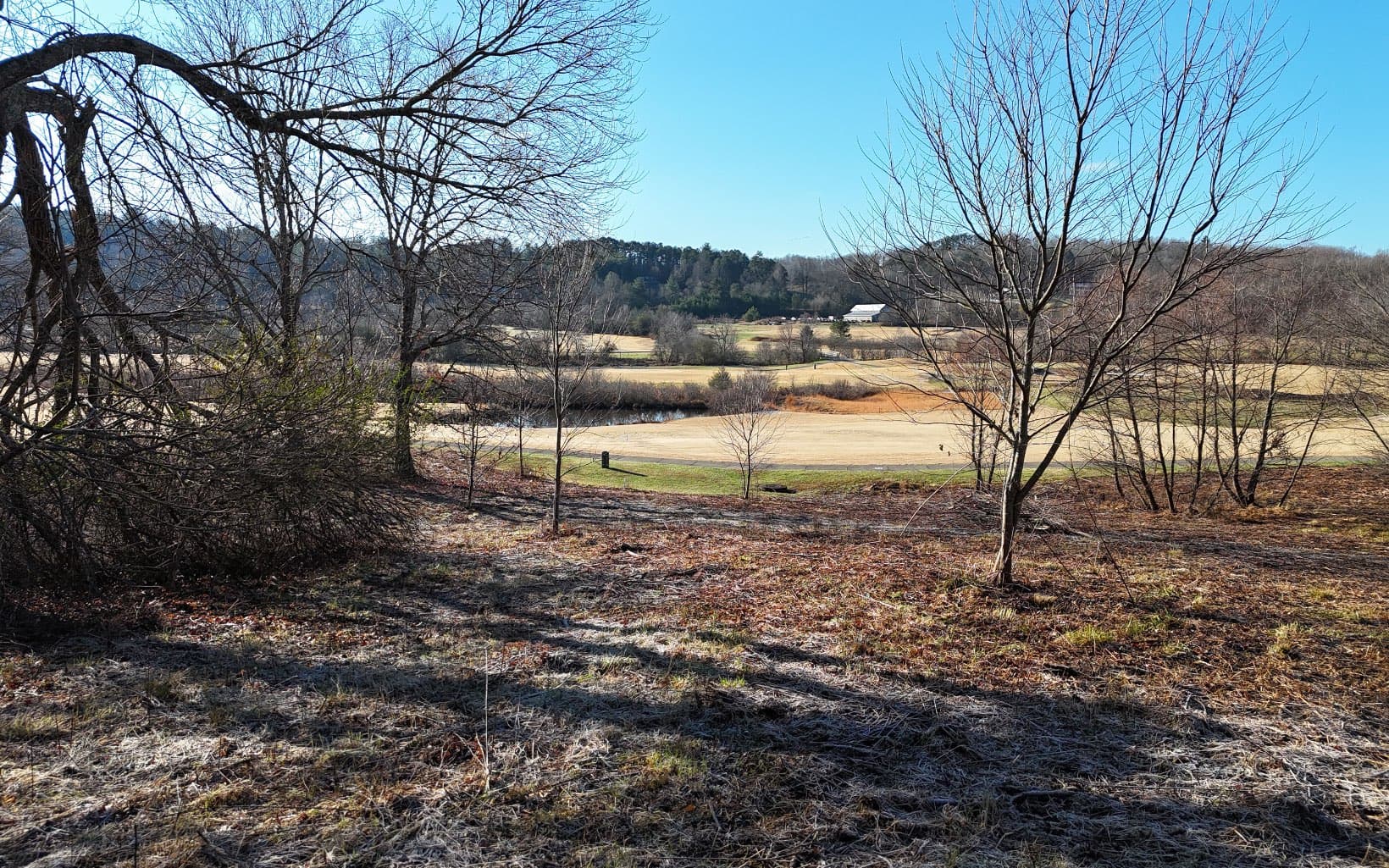 203 Owen Glen, Blairsville GA 30512 - Photo