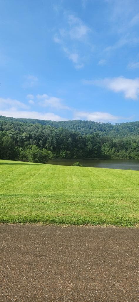 LT175 Trailwood Drive, Ellijay GA 30536 - Photo