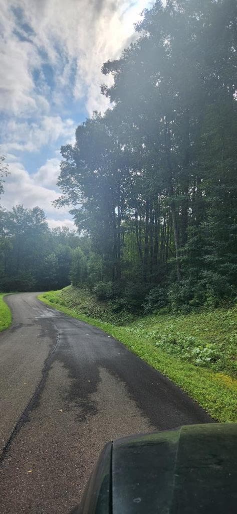 LT175 Trailwood Drive, Ellijay GA 30536 - Primary photo