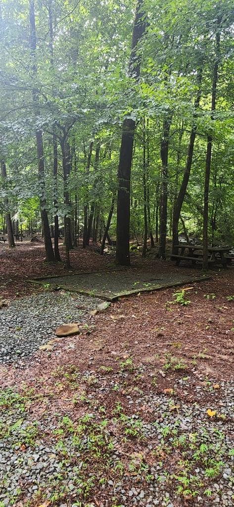 L176 Trailwood Drive, Ellijay GA 30536 - Photo