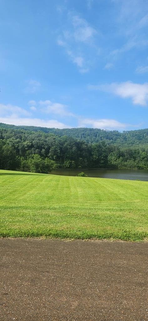 L176 Trailwood Drive, Ellijay GA 30536 - Photo