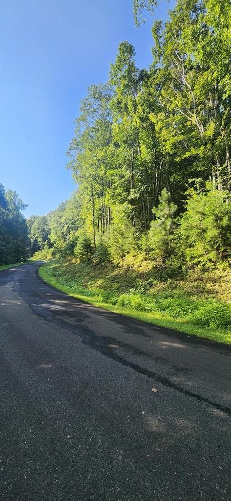 L176 Trailwood Drive, Ellijay GA 30536 - Primary photo