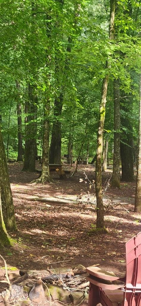 L176 Trailwood Drive, Ellijay GA 30536 - Photo
