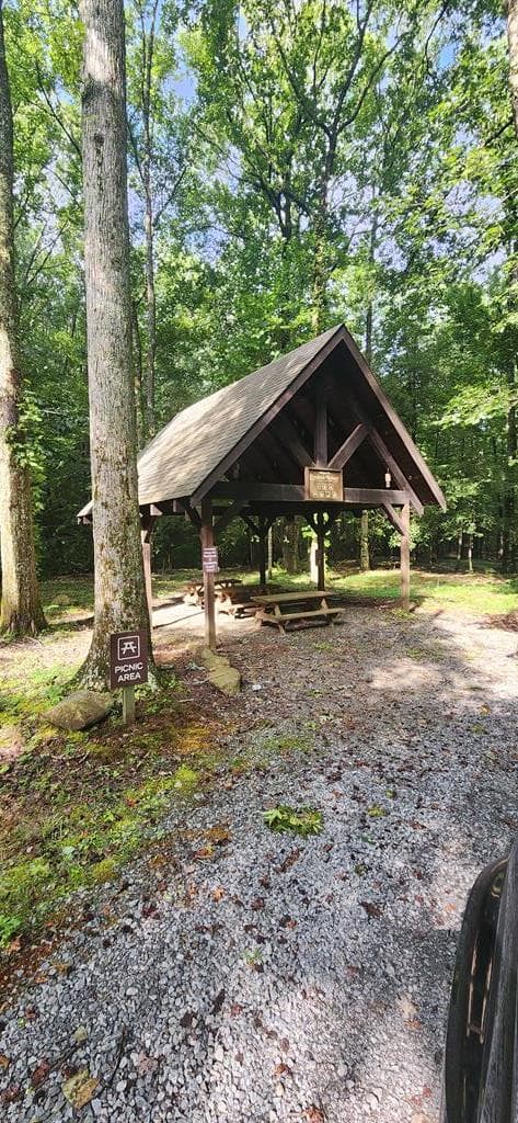 L176 Trailwood Drive, Ellijay GA 30536 - Photo