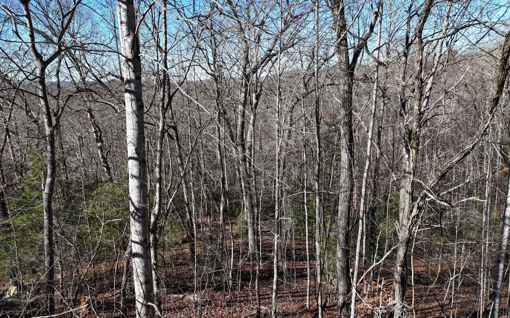 LOT37 Mountain Valley Lane, Blairsville GA 30512 - Photo