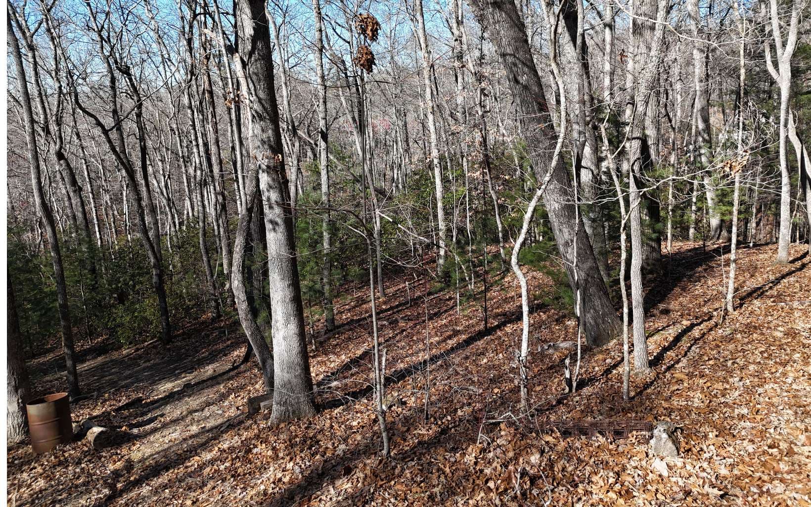 LOT37 Mountain Valley Lane, Blairsville GA 30512 - Photo